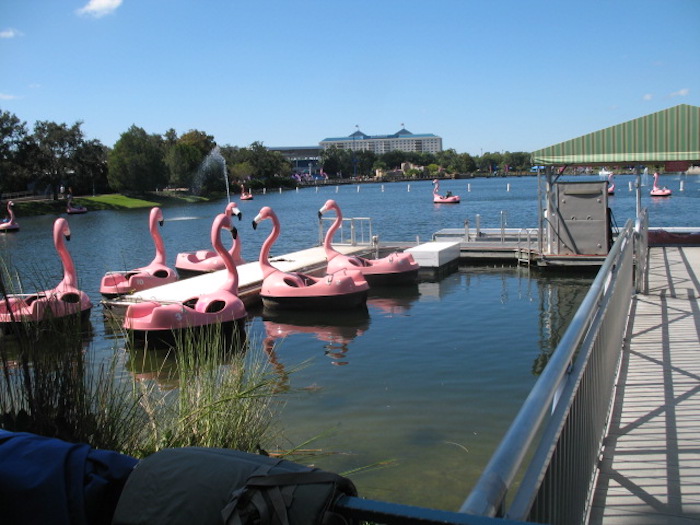 Flamingo Paddle Boats