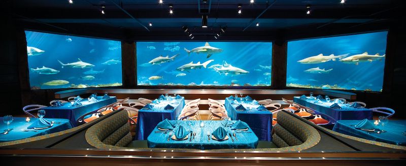 Parque SeaWorld em Orlando: Sharks Underwater Grill and Bar